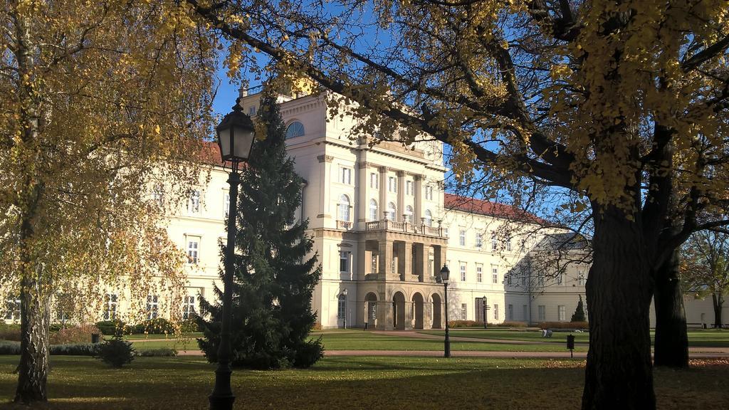 Pongrácz Apartman Zirc Exterior foto
